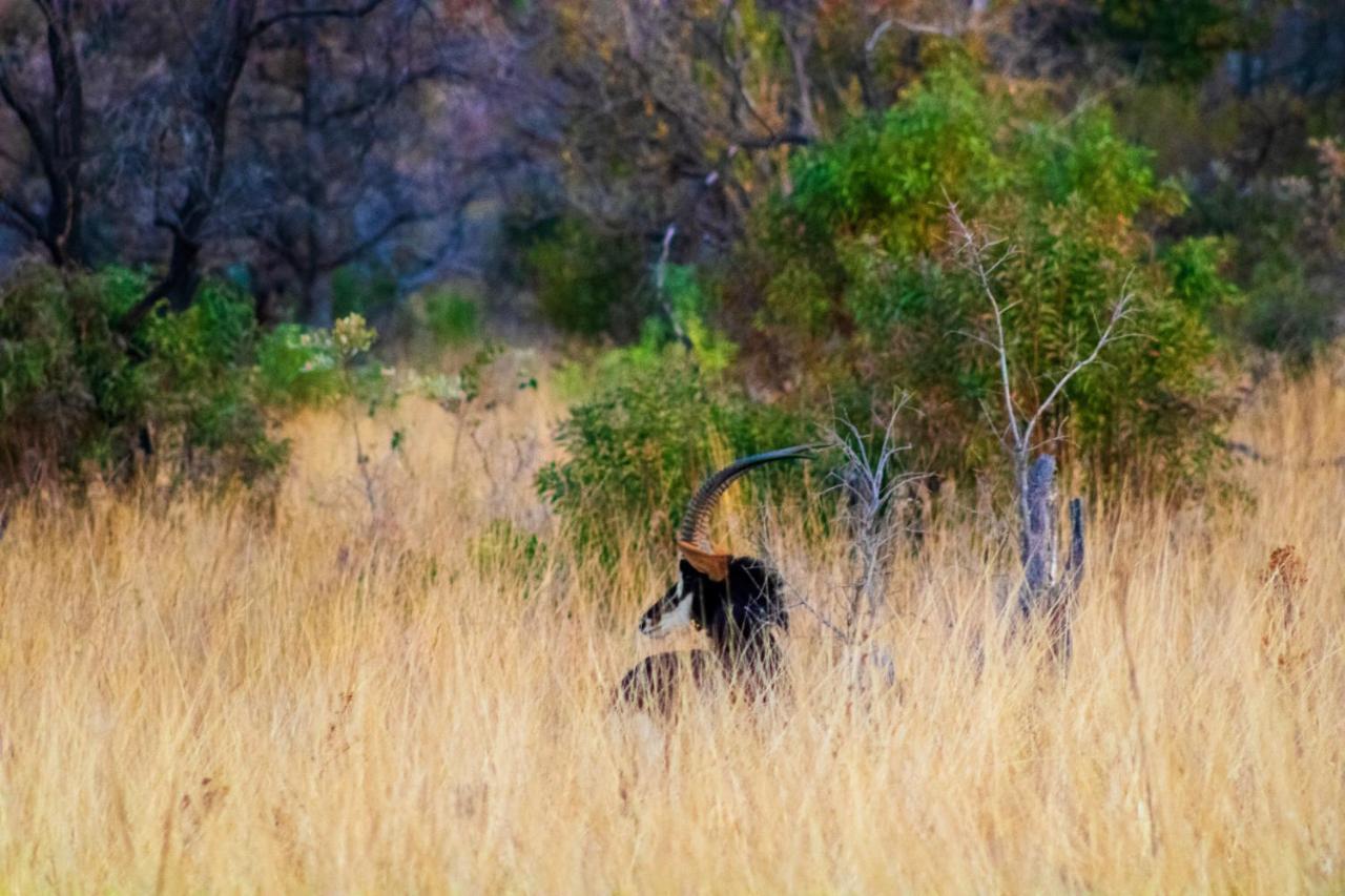 Fumani Game Lodge Modimolle Eksteriør bilde